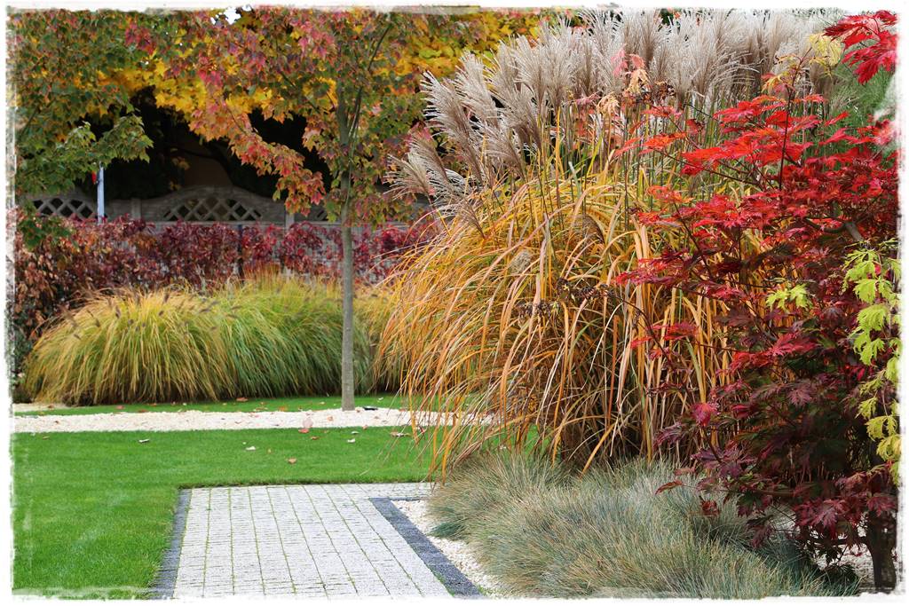 Aranżacja ogrodu nowoczesnego 17