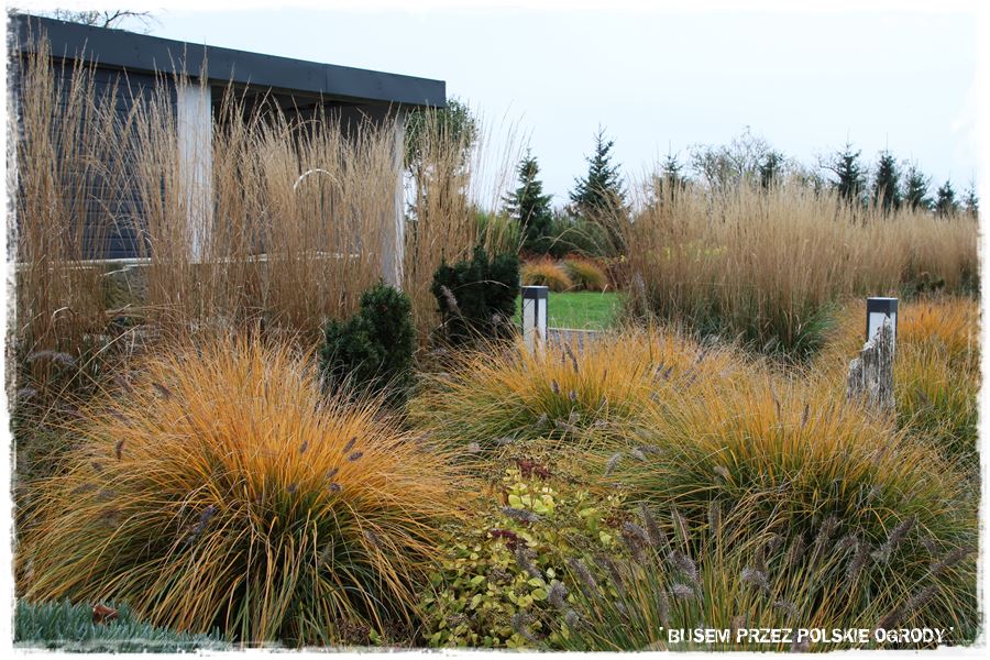 Aranżacja ogrodu nowoczesnego 18