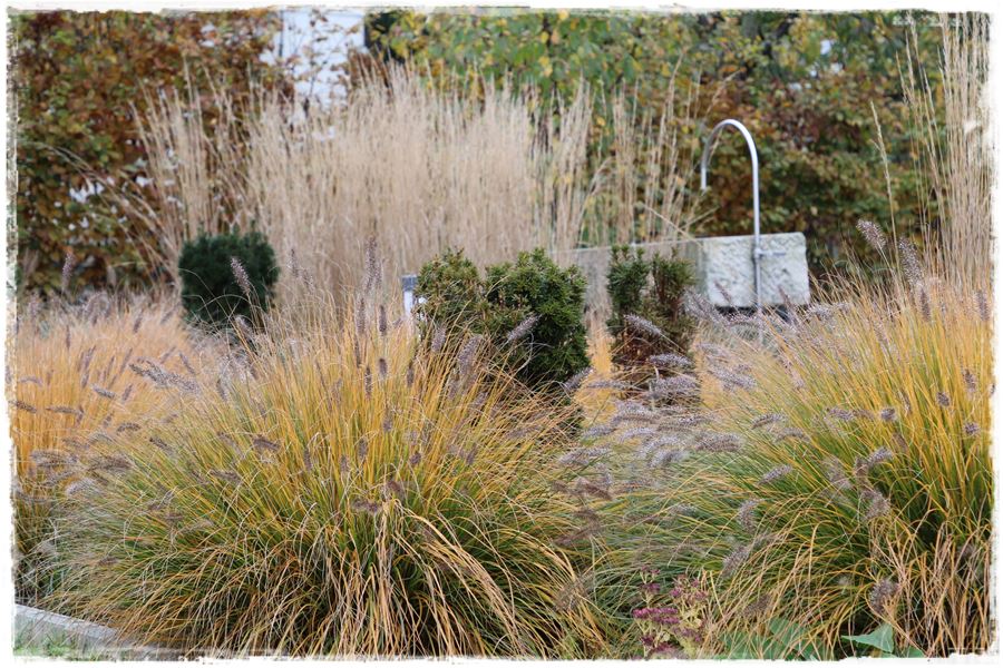 Aranżacja ogrodu nowoczesnego 19