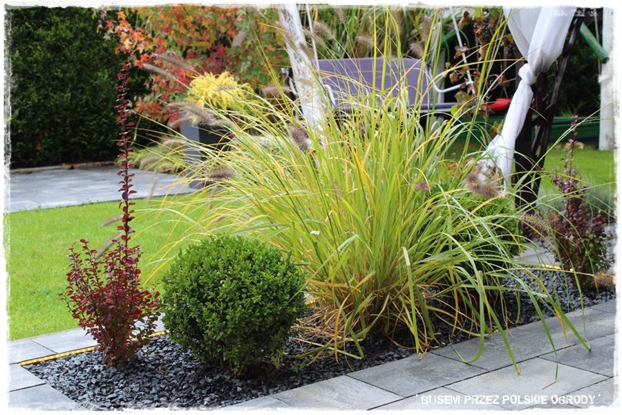 Aranżacja ogrodu nowoczesnego 2