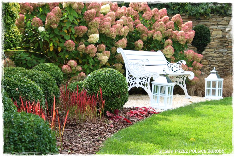 Aranżacja ogrodu nowoczesnego 23