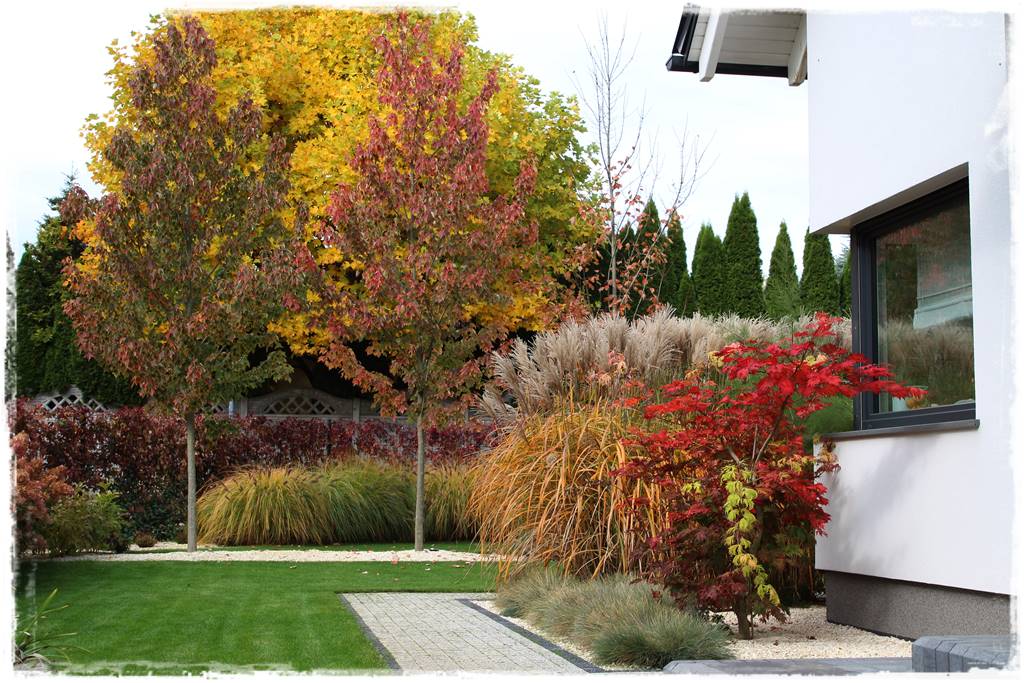 Aranżacja ogrodu nowoczesnego 29