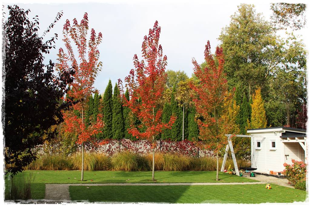 Aranżacja ogrodu nowoczesnego 3