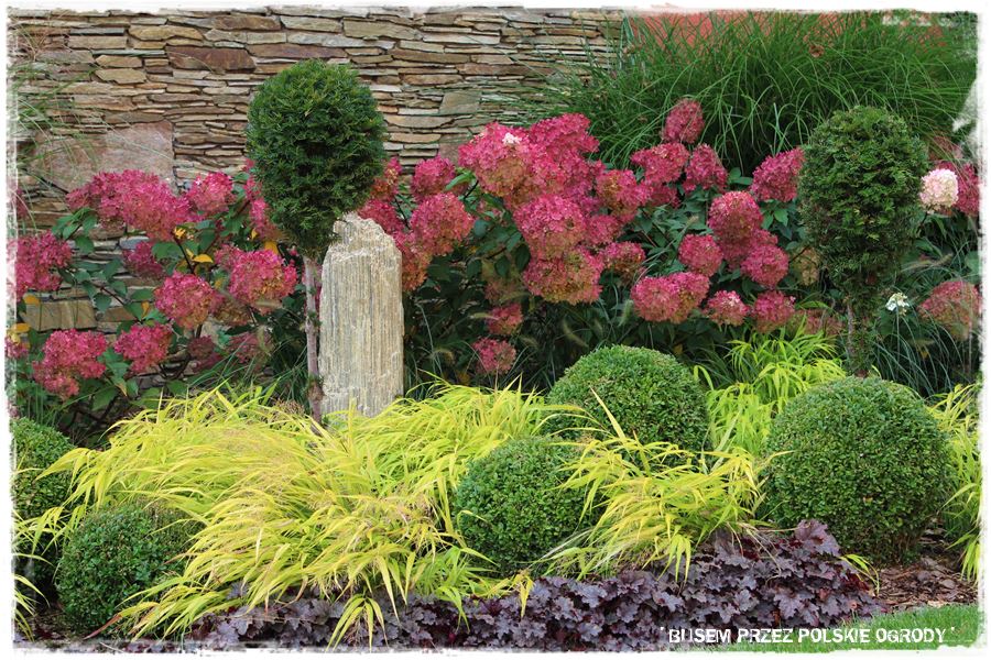 Aranżacja ogrodu nowoczesnego 30