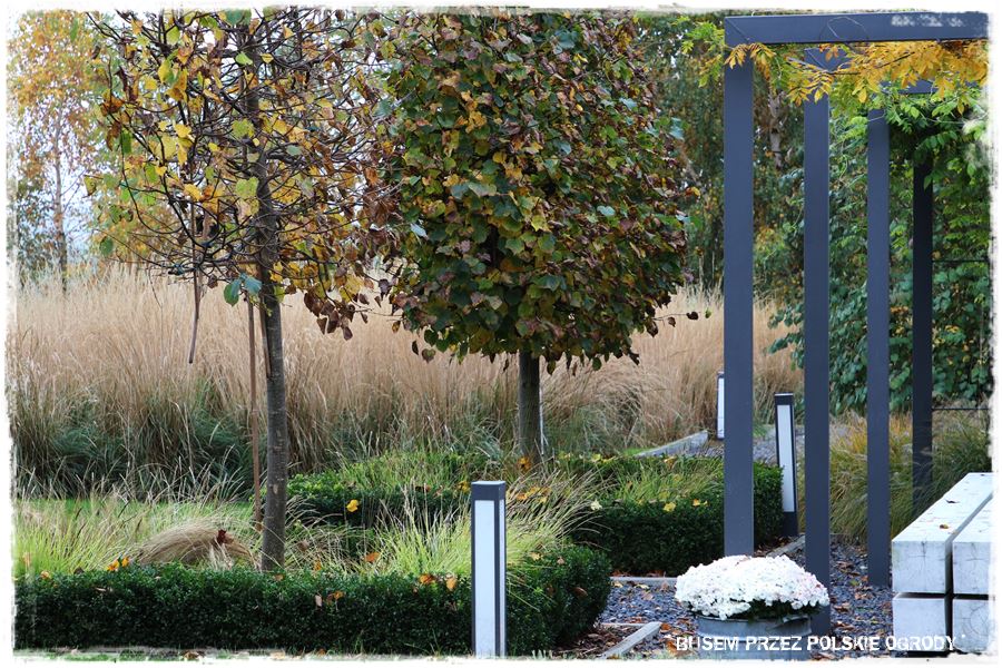 Aranżacja ogrodu nowoczesnego 31
