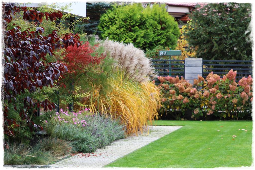 Aranżacja ogrodu nowoczesnego 36