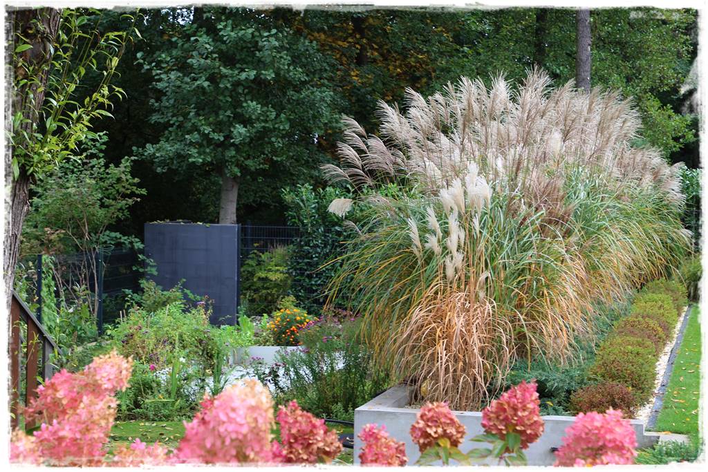 Aranżacja ogrodu nowoczesnego 37