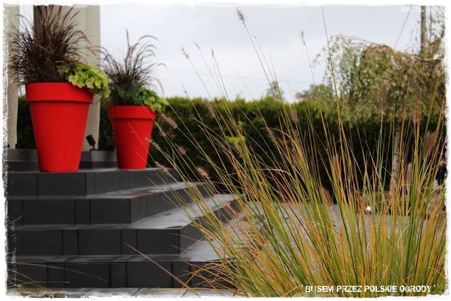 Aranżacja ogrodu nowoczesnego 43