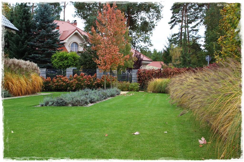 Aranżacja ogrodu nowoczesnego 5