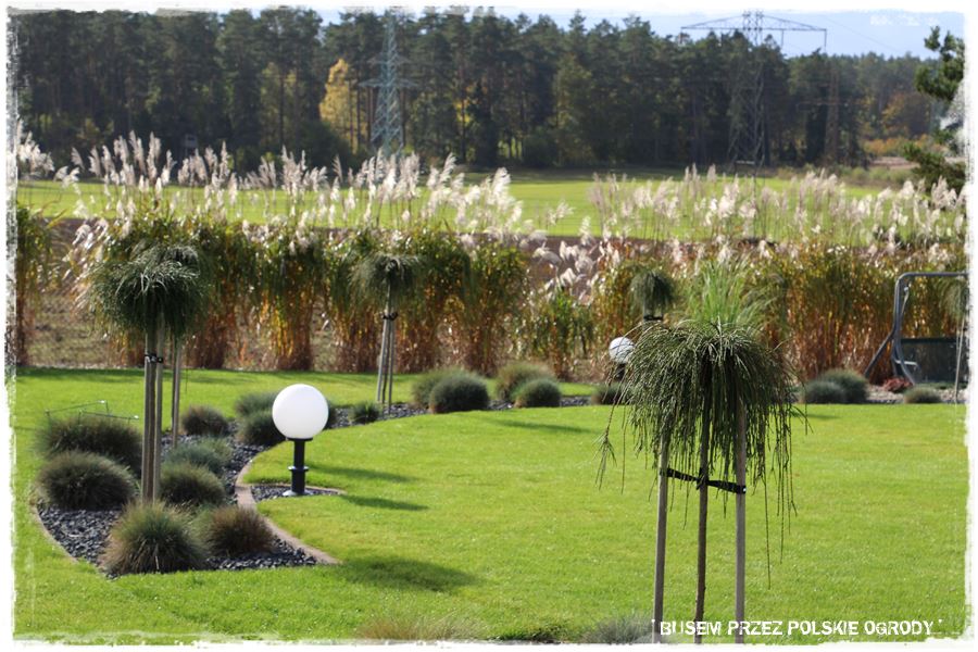 Aranżacja ogrodu nowoczesnego 6