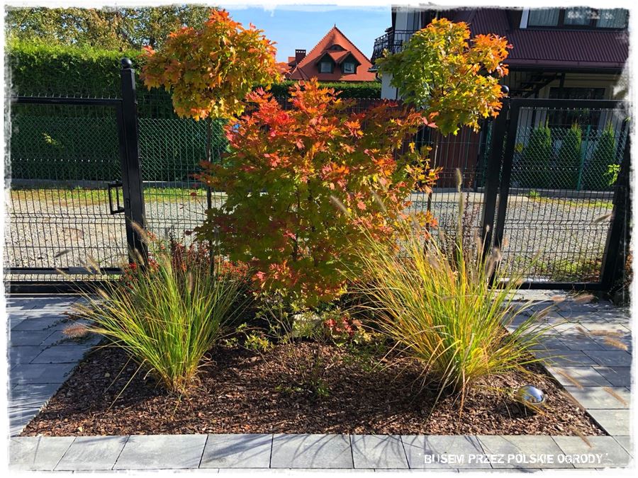 Aranżacja ogrodu nowoczesnego 8