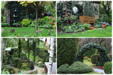 Bluszcz w ogrodzie aranżacje 1