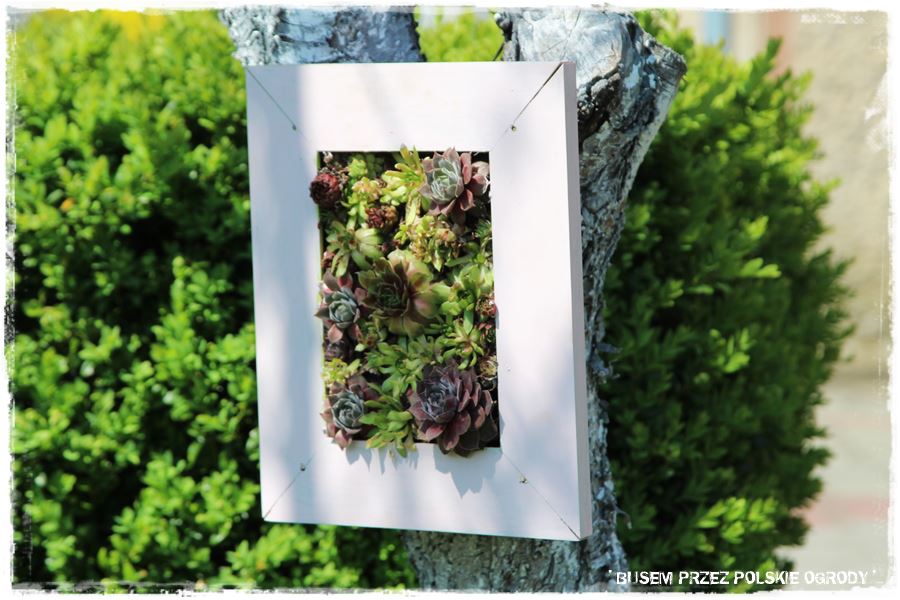 Ciekawe pomysły na ozdoby do ogrodu 200g