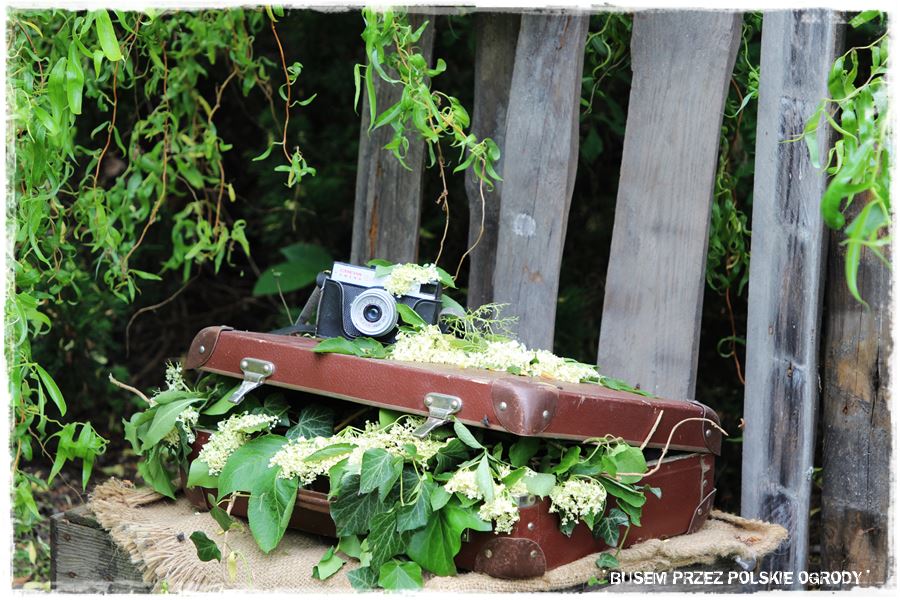 Ciekawe pomysły na ozdoby do ogrodu 30c