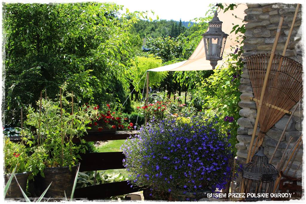 Kuchnia letnia w ogrodzie 42