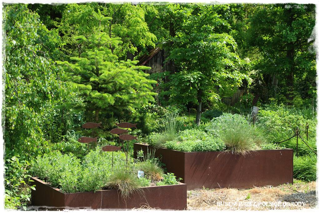 Kuchnia letnia w ogrodzie 62