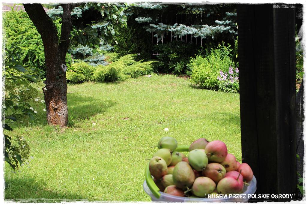 Kuchnia letnia w ogrodzie 91