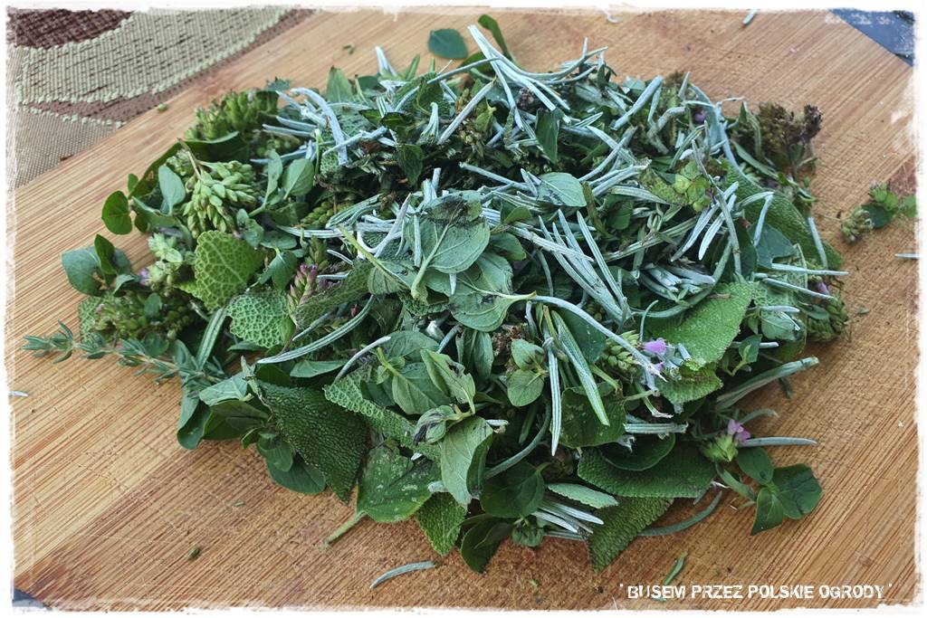 Kuchnia letnia w ogrodzie 94