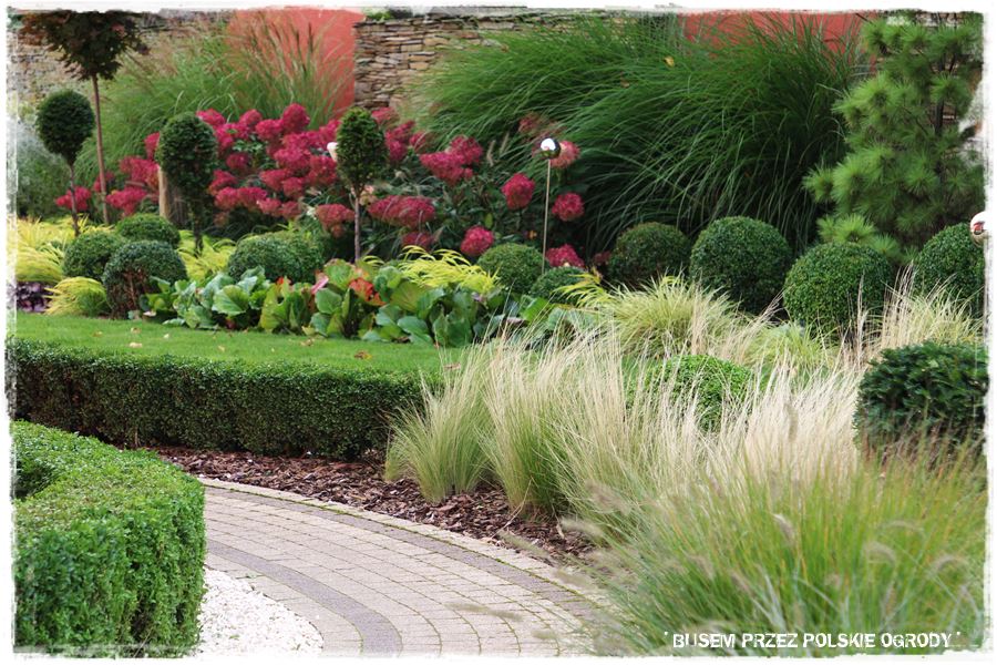 Nowoczesna rabata z trawami i hortensjami 8