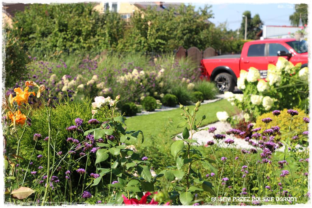 Ogród dla oszczędnych 10