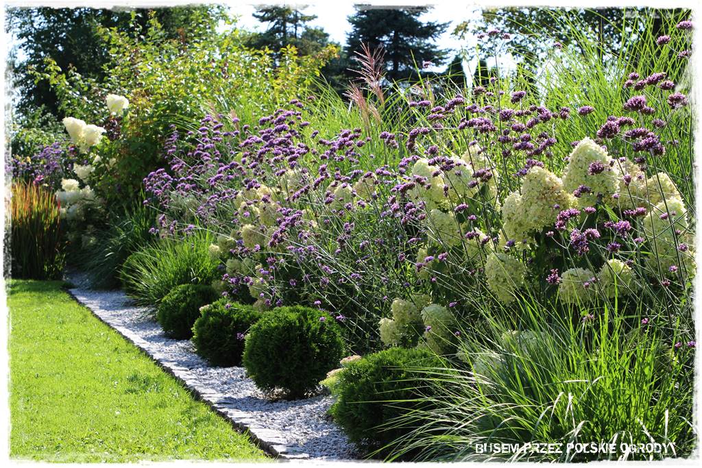 Ogród dla oszczędnych 11