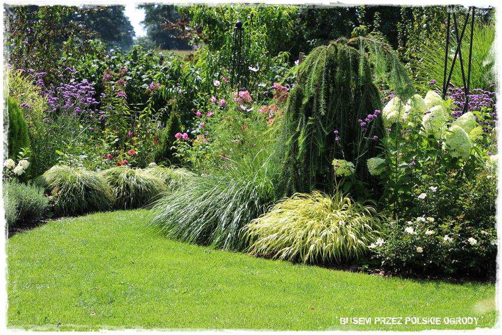 Ogród dla oszczędnych 13 Ogród dla oszczędnych 13