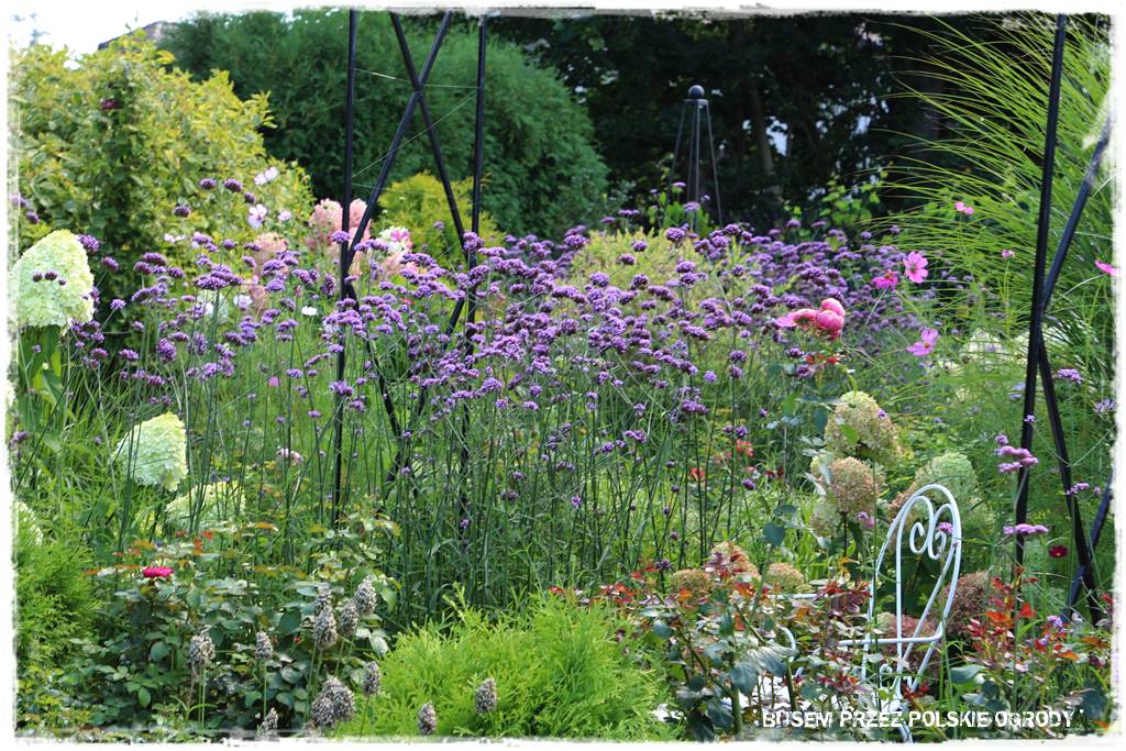 Ogród dla oszczędnych 14 Ogród dla oszczędnych 14