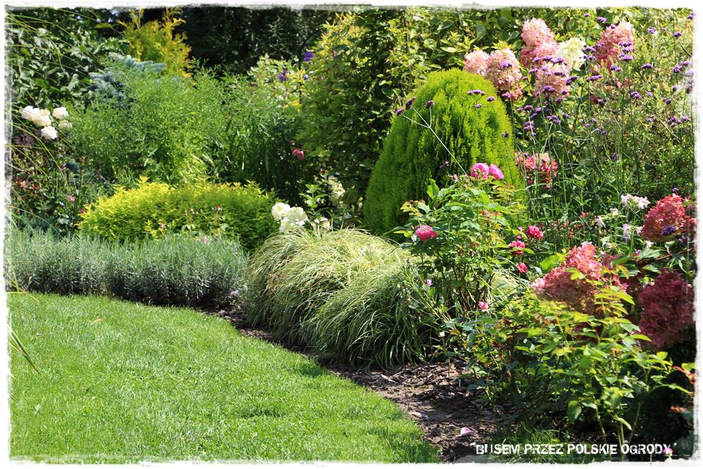 Ogród dla oszczędnych 15 Ogród dla oszczędnych 15