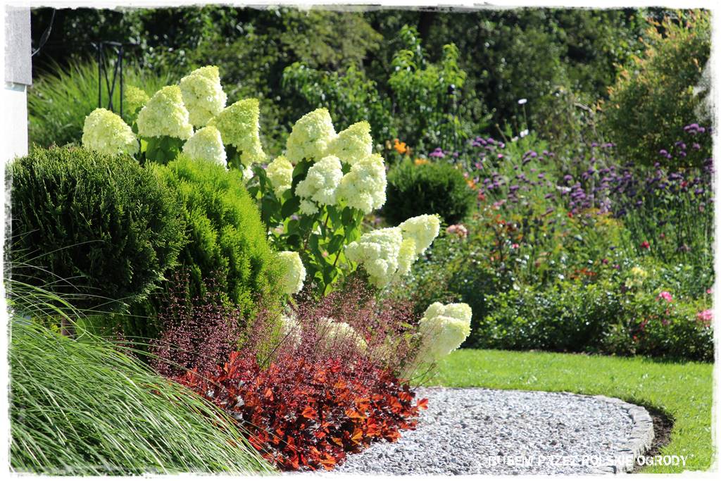 Ogród dla oszczędnych 16 Ogród dla oszczędnych 16