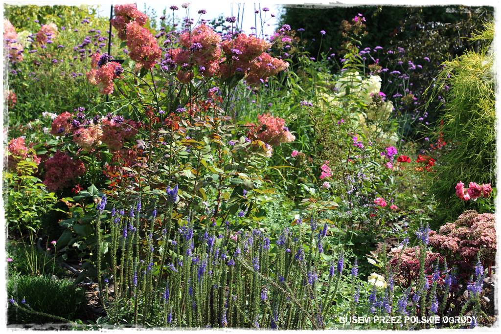 Ogród dla oszczędnych 17 Ogród dla oszczędnych 17