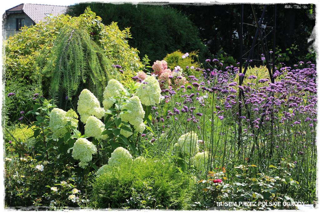 Ogród dla oszczędnych 18 Ogród dla oszczędnych 18