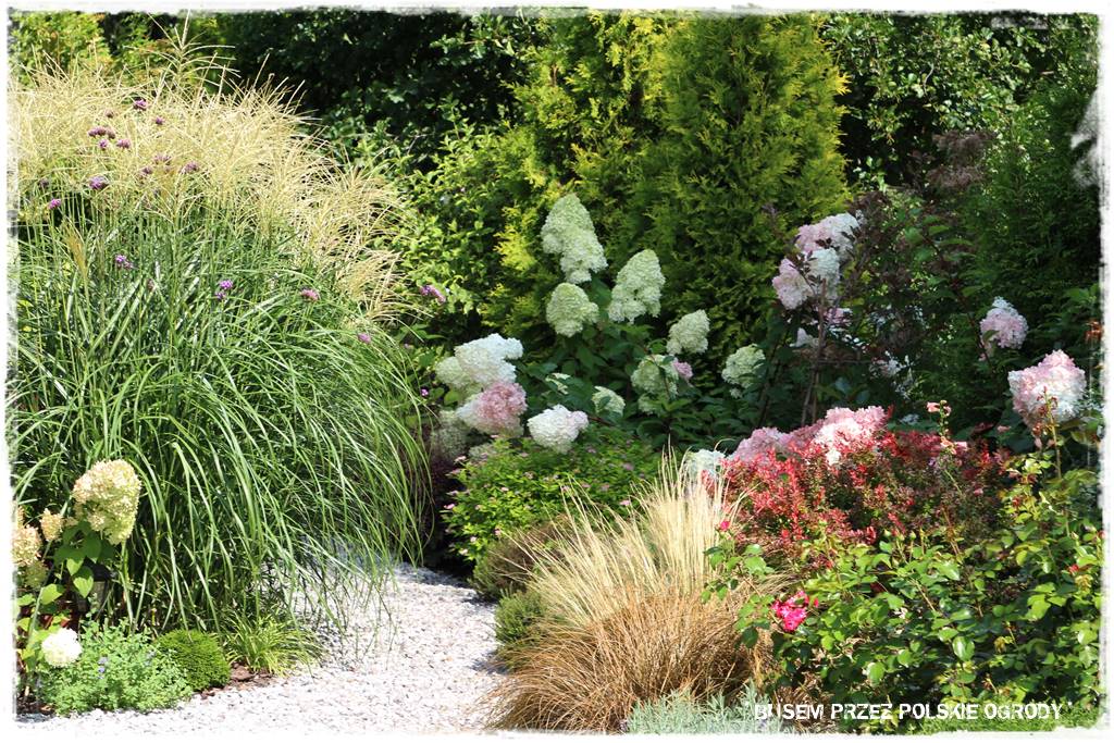 Ogród dla oszczędnych 19 Ogród dla oszczędnych 19