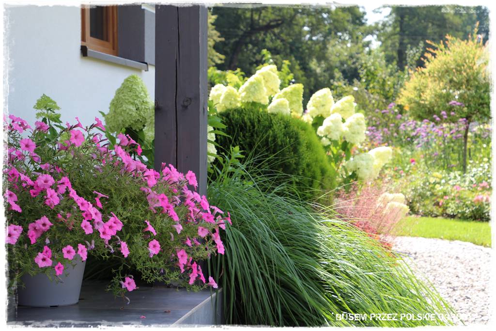 Ogród dla oszczędnych 2 Ogród dla oszczędnych 2