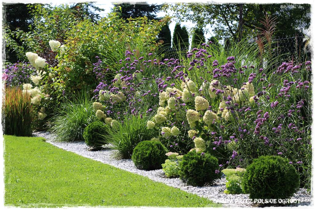 Ogród dla oszczędnych 20 Ogród dla oszczędnych 20