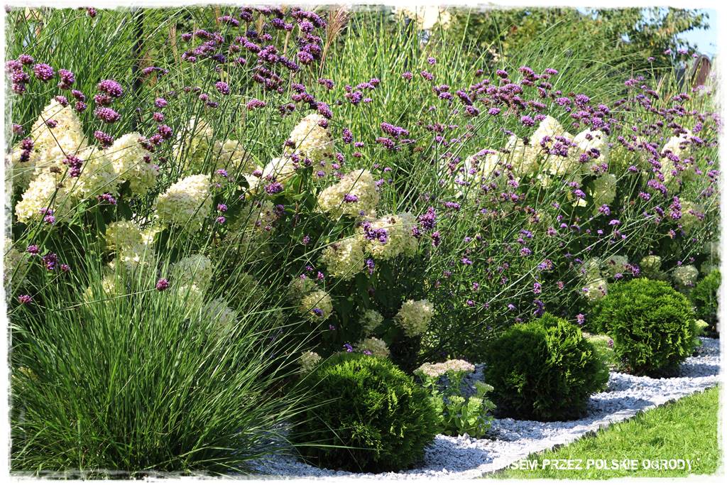 Ogród dla oszczędnych 21 Ogród dla oszczędnych 21