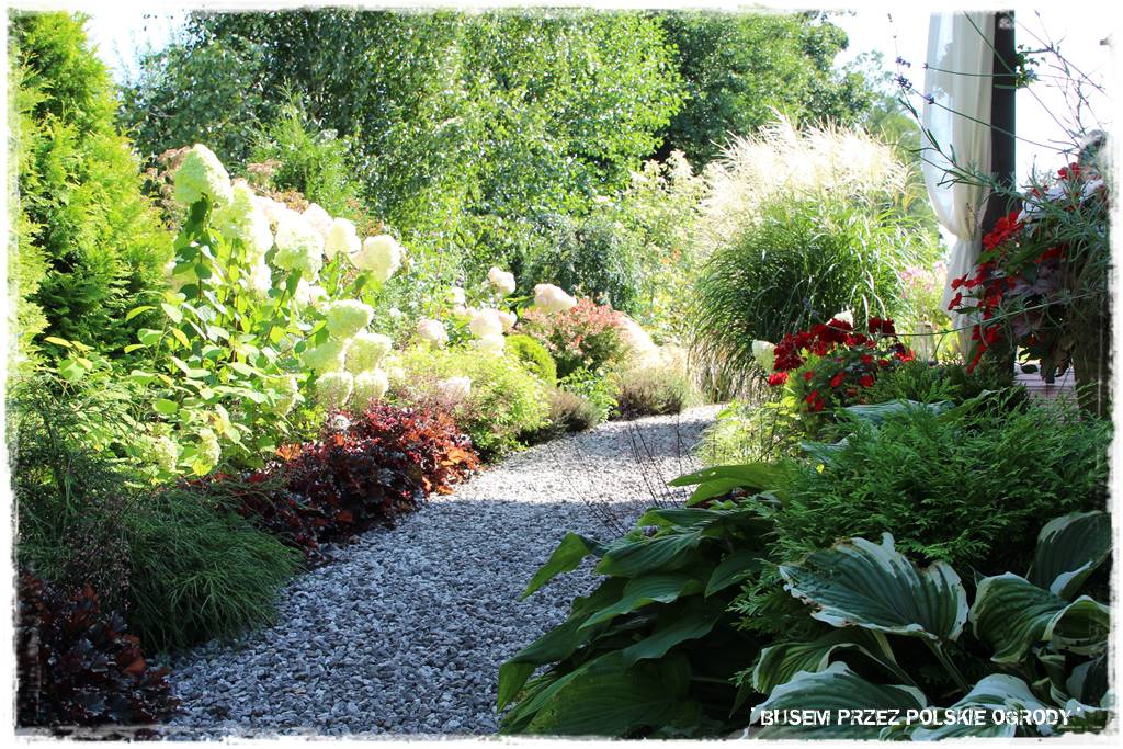 Ogród dla oszczędnych 22 Ogród dla oszczędnych 22