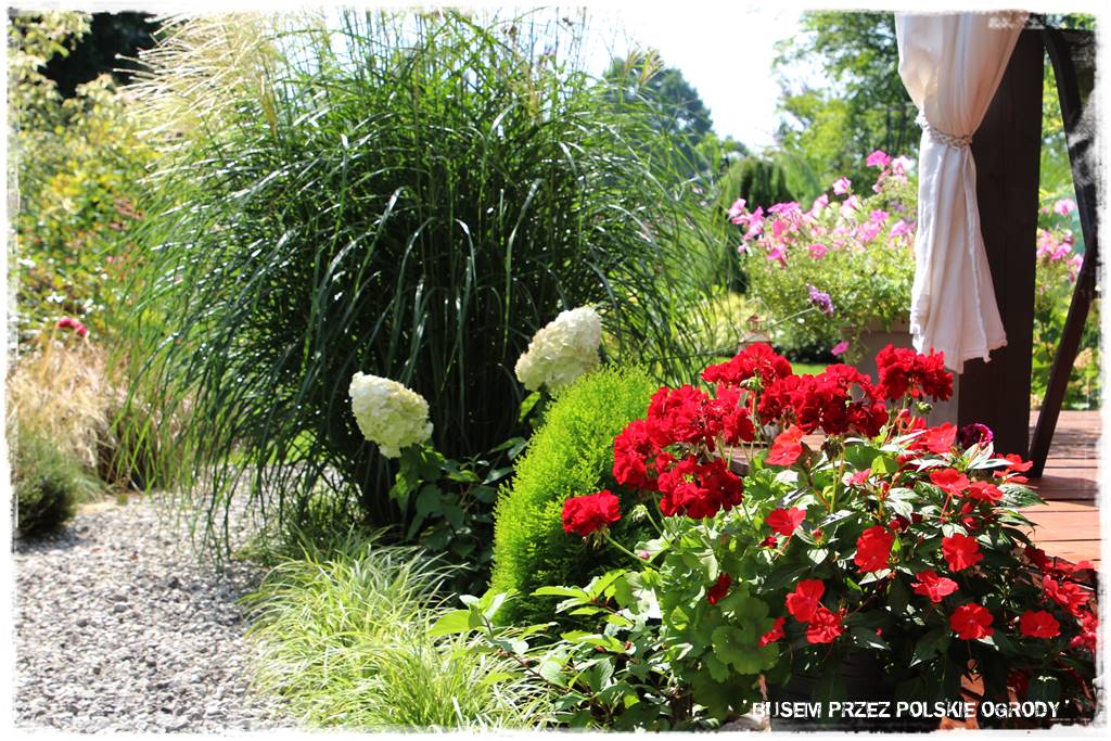 Ogród dla oszczędnych 23 Ogród dla oszczędnych 23