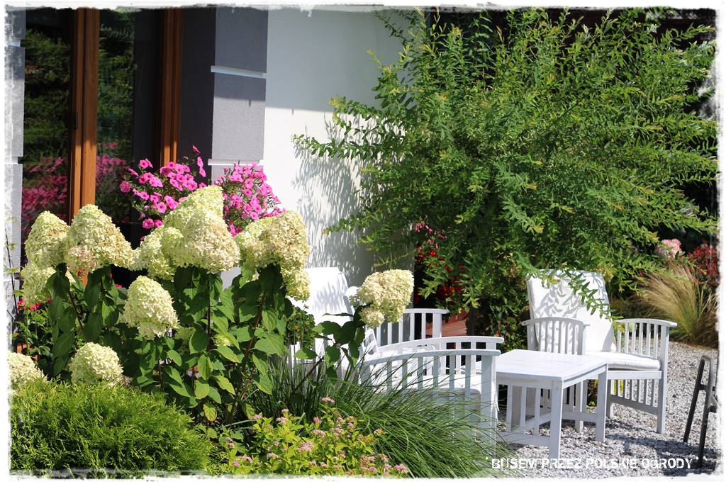 Ogród dla oszczędnych 24 Ogród dla oszczędnych 24