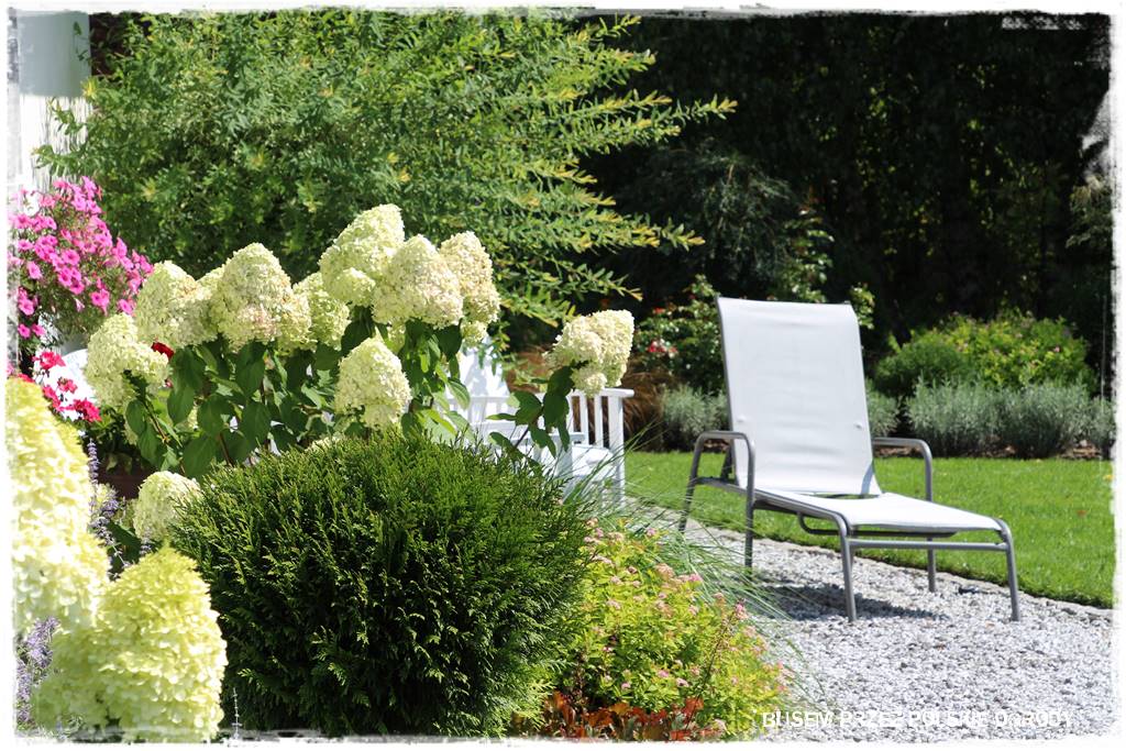 Ogród dla oszczędnych 25 Ogród dla oszczędnych 25