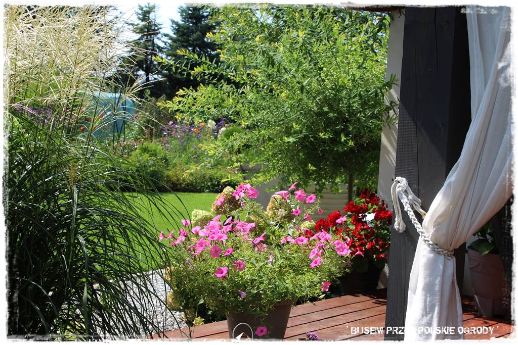 Ogród dla oszczędnych 30 Ogród dla oszczędnych 30