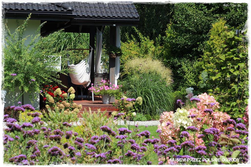 Ogród dla oszczędnych 31 Ogród dla oszczędnych 31