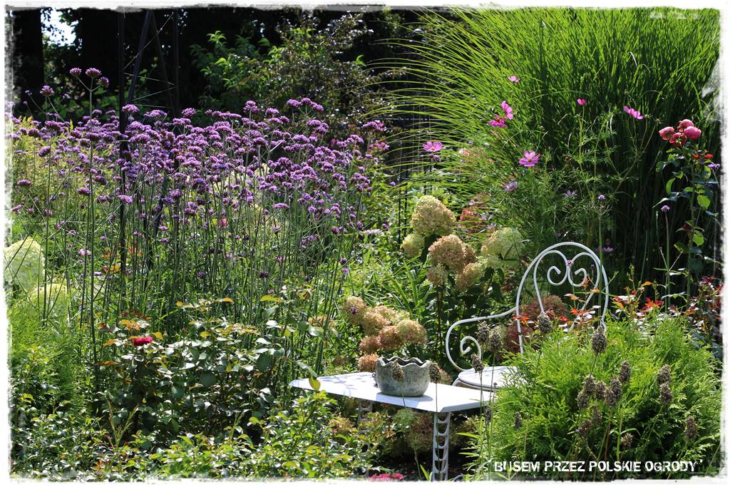 Ogród dla oszczędnych 32 Ogród dla oszczędnych 32