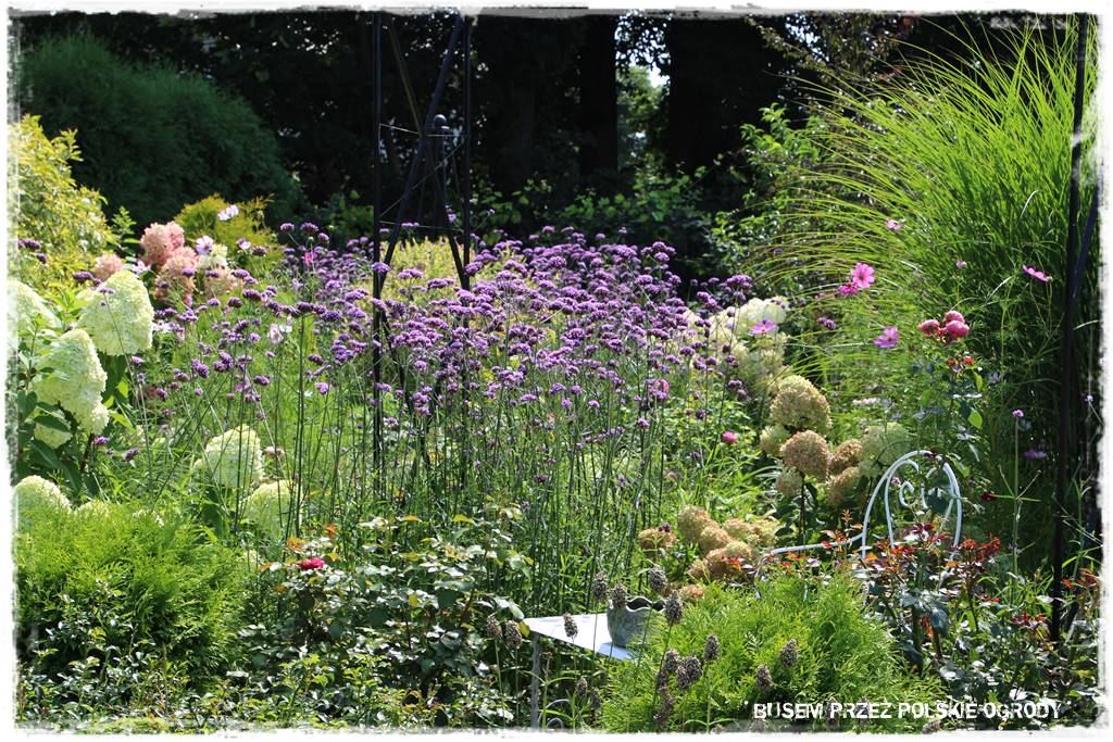 Ogród dla oszczędnych 33 Ogród dla oszczędnych 33