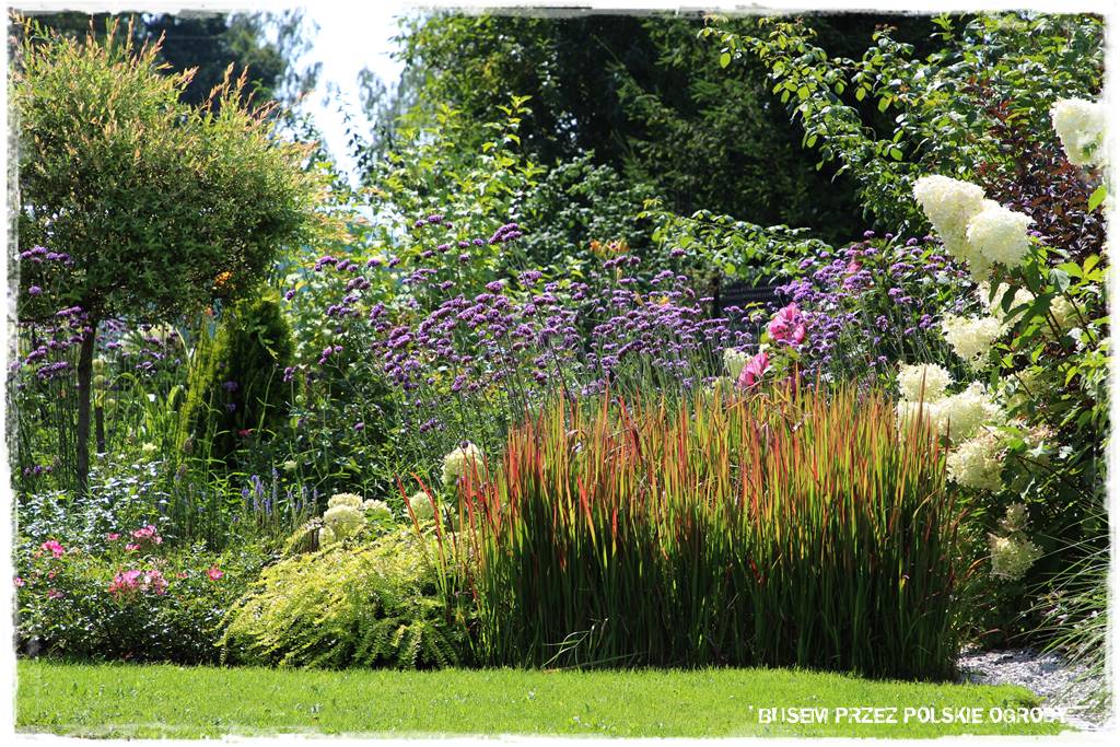 Ogród dla oszczędnych 34 Ogród dla oszczędnych 34