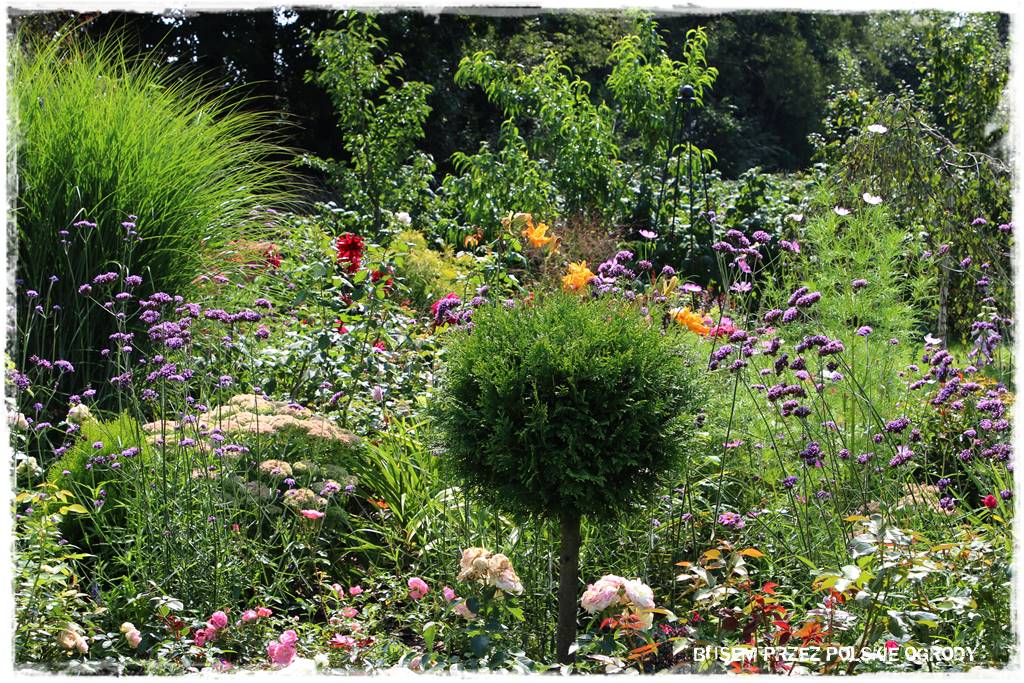 Ogród dla oszczędnych 35 Ogród dla oszczędnych 35