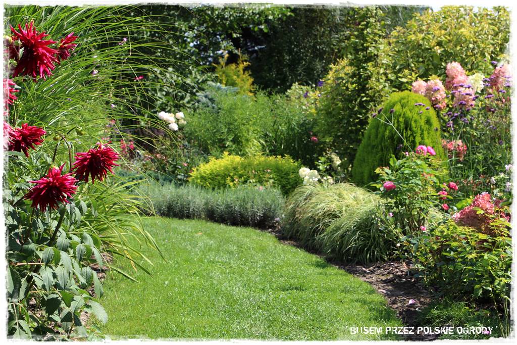 Ogród dla oszczędnych 36 Ogród dla oszczędnych 36