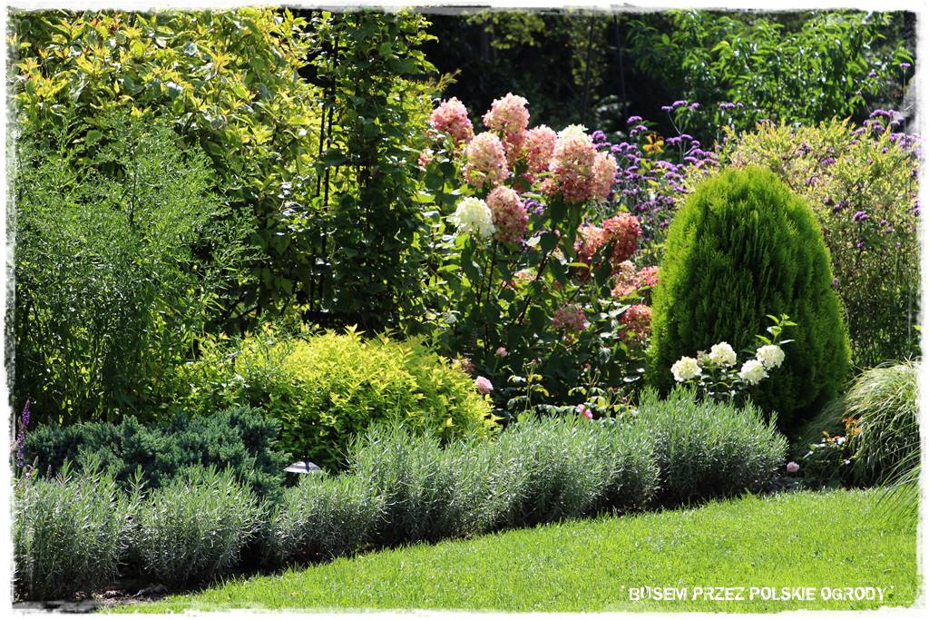 Ogród dla oszczędnych 37 Ogród dla oszczędnych 37