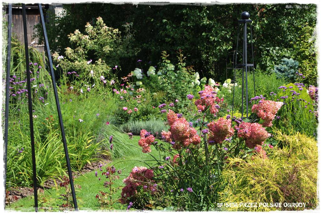 Ogród dla oszczędnych 38 Ogród dla oszczędnych 38