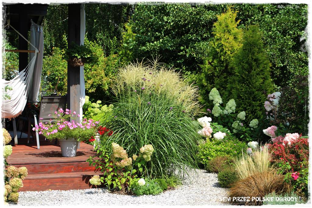 Ogród dla oszczędnych 4 Ogród dla oszczędnych 4