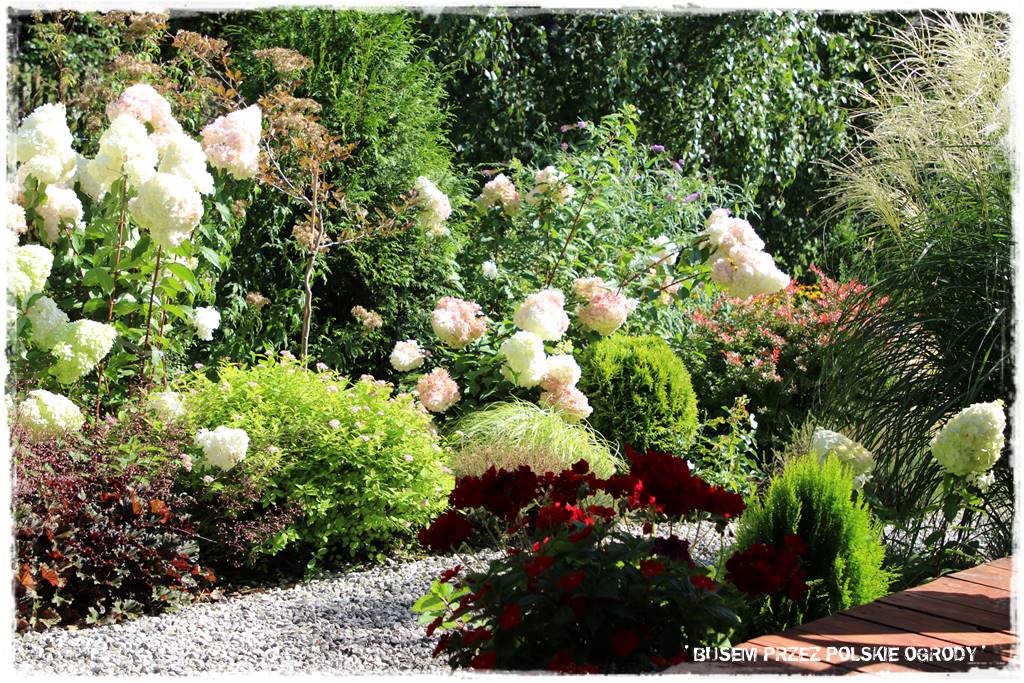 Ogród dla oszczędnych 40 Ogród dla oszczędnych 40